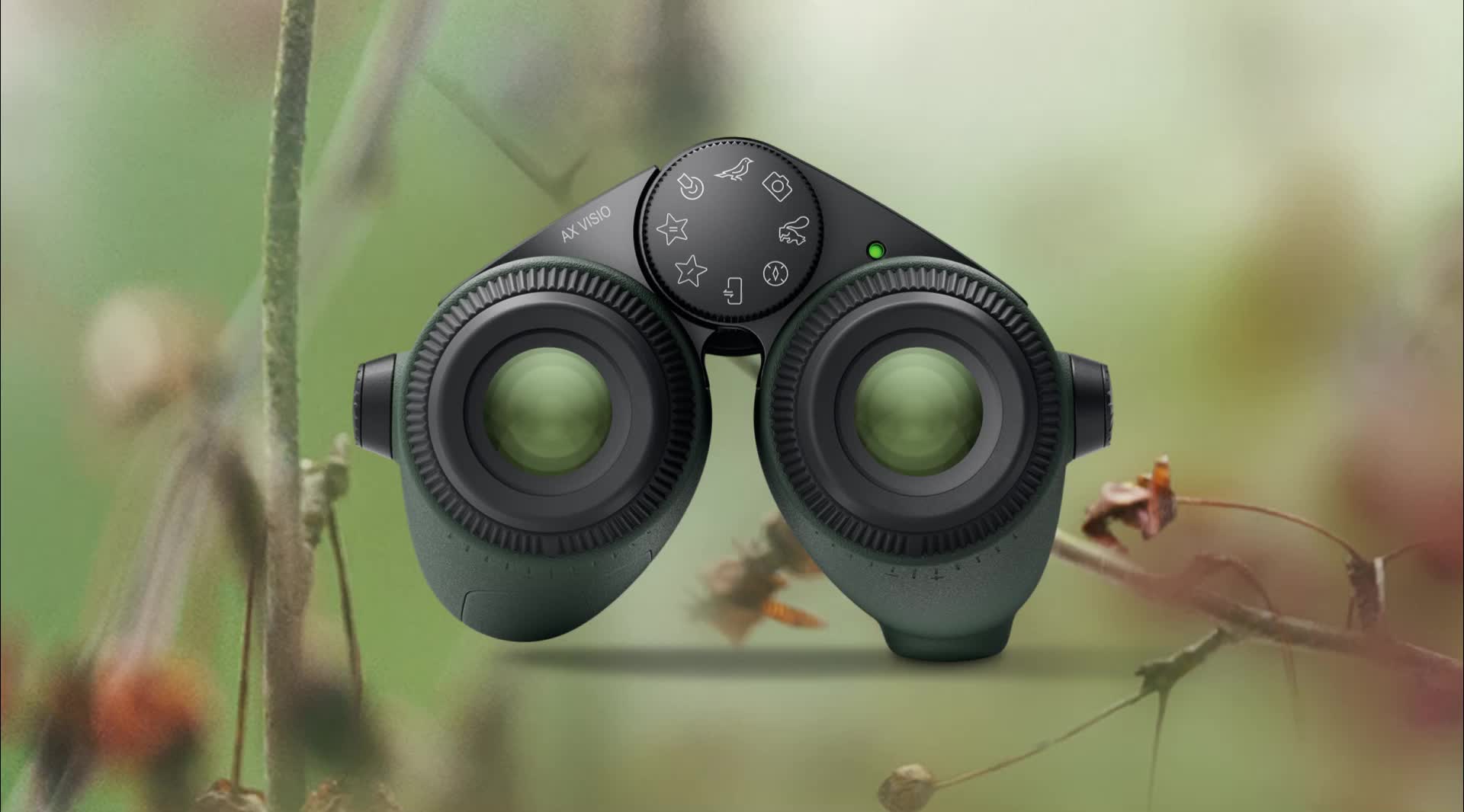 Swarovski outlet birding binoculars